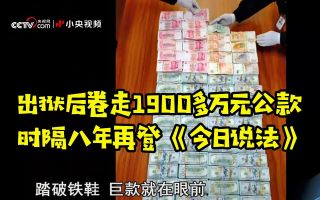 p02 《今日说法》 20210319 再次追捕“隐形人”（下） 出狱后卷走1900多万元公款，时隔八年再登《今日说法》