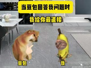 当豆包回答我问题时 #猫meme #人类驯服ai #搞笑 #豆包 #精神状态belike
