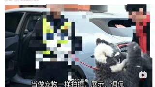 兽装栓绳，这是对整个文化的挑衅！！！