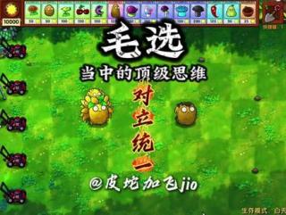 从事物的对立面把握事物的统一（重制版） #游戏 #植物大战僵尸 #毛选 #僵尸说毛选