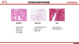 【小青龙的春天i】我的最新作品，快来一睹为快！