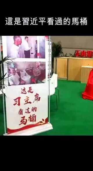 巴黎梧桐树停留的地方 - 习近平马桶