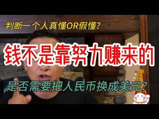 老王来了精选:如何判断一个人是真懂还是假懂? | 钱不是靠努力赚来的 | 是否需要把人民币换成美元? #老王来了 #跟着大佬学金融