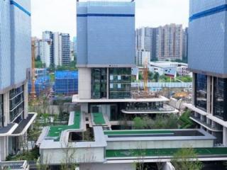 成都高新，终于等来第四代超级豪宅！
户户空中庭院，365平一层一户，招商玺重新定义大平层！#大源西 #招商玺  #成都豪宅 #豪宅大平层 #买房避坑指南