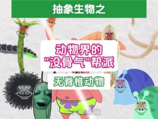 动物界的“没骨气”帮派，无脊椎动物 #自然奇境科普季 #夏梦逐浪 #暑假生长计划 #抽象 #科普