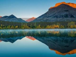 任夏你总要学会往前走伴奏 #伴奏分享