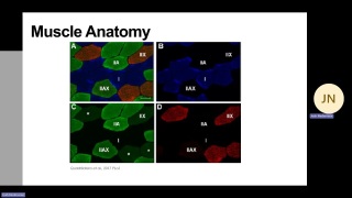 2C03   Monday Lecture   2026W 20260119 112856 Meeting Recording