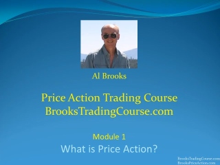 p15 15 趋势类型 阿尔・布鲁克斯 - 价格行为交易课程（国语中字）全53集