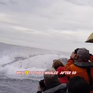 Why didn’t whales evolve gills #popularscience #science #usa_tiktok #fyp #fyf 