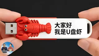 OpenClaw装进U盘！AI随身工具包 - videoseek.ai