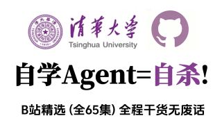 02-Agent开发典型范式-【全65集】吊打付费！目前B站最详细的Agent开发零基础自学全套教程，2026最新版，内含所有干货！七天就能从小白到大神！少走99%弯路！存下吧！很难找全的！